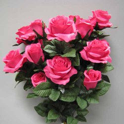 Bubble Gum Pink Rose Bush