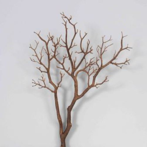 Manzanita Branch