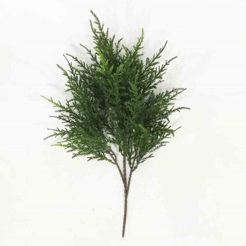 Cedar Spray