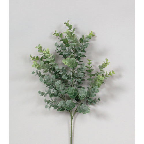 Green Powdered Eucalyptus Spray