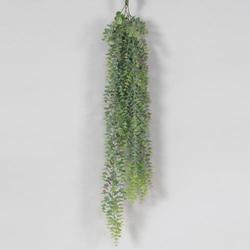 Green & Subtle Burgundy Powdered Eucalyptus Hanging Bunch