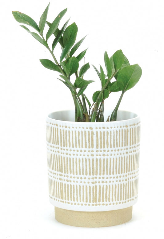 Large White Beige Décor Pot