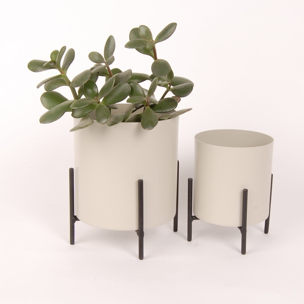 White Metal Pot with Metal Stand