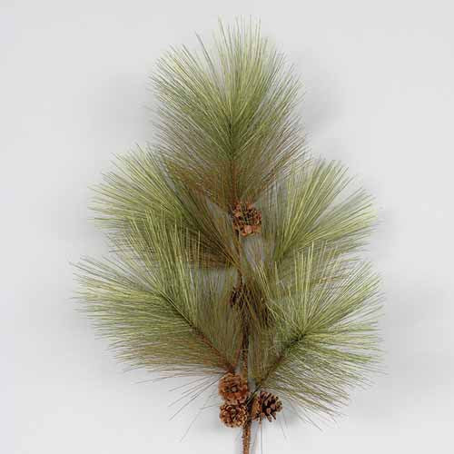 Long Needle Pine Spray Green/Brown