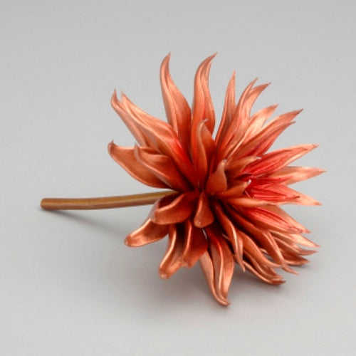 6" Metallic Bronze Echeveria