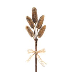 Thistle Permanent
