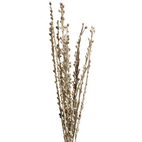 Natural Dried Moti Sticks – Carman Florists