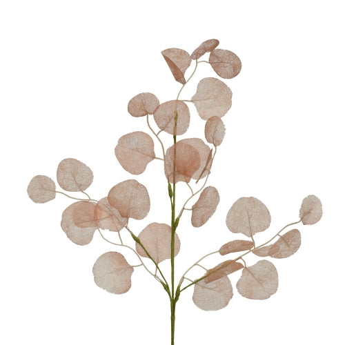 Terracotta Eucalyptus Spray