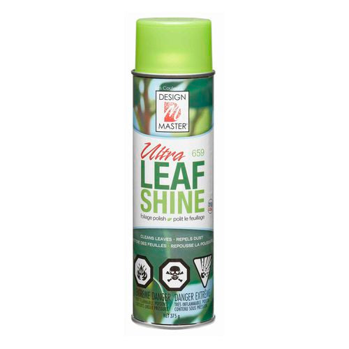 Leaf Shine