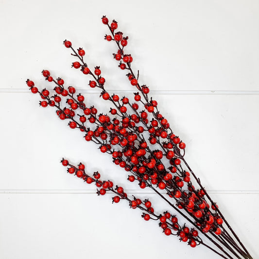 Red Berry Bush