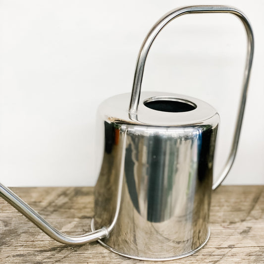 Modern Stainless Steel Watering Can- 2 sizes