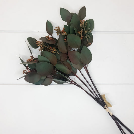 Seeded Eucalyptus
