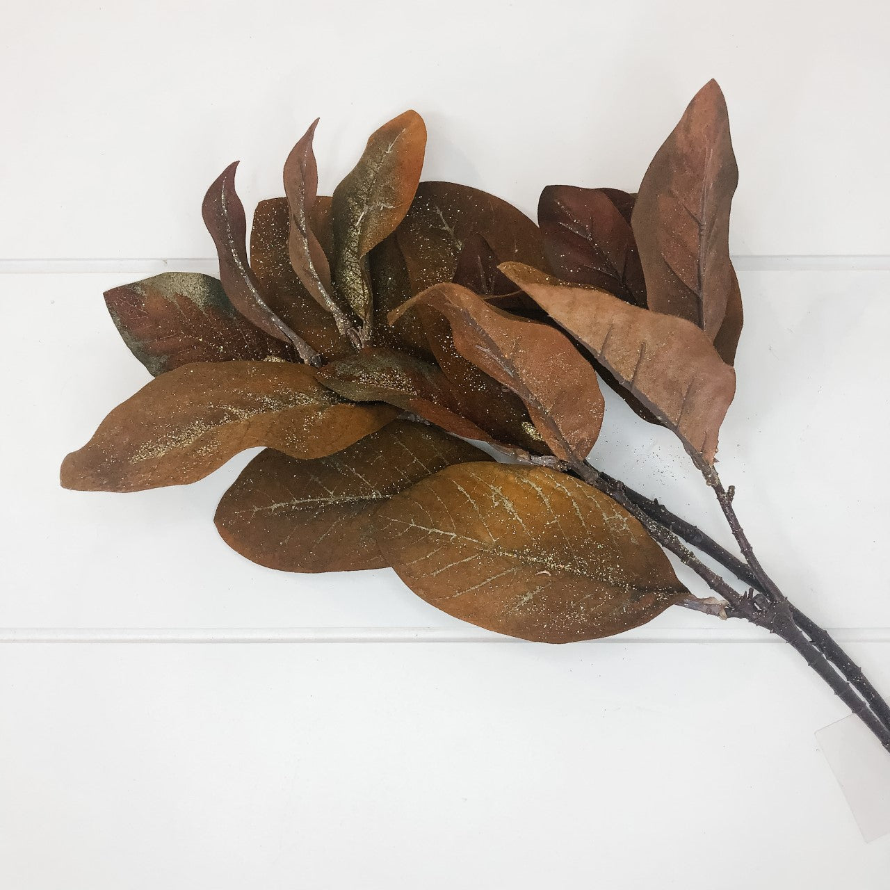 Bronze Magnolia