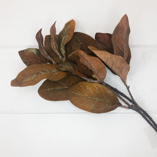 Bronze Magnolia