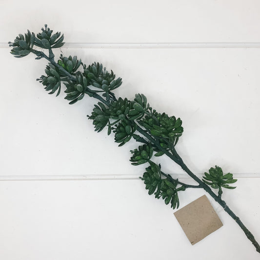 Dark Green Succulent Spray