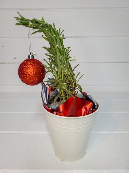Lavender or Rosemary Grinch Tree